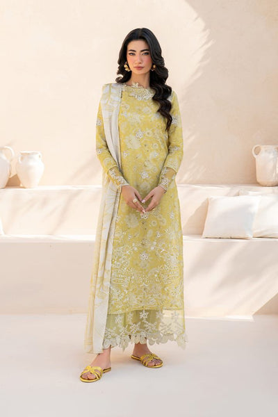 FANCY ARRIVAL 2025 BP-00017